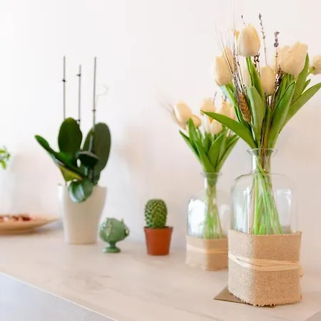 Sunshine By Happyhostorino Appartement